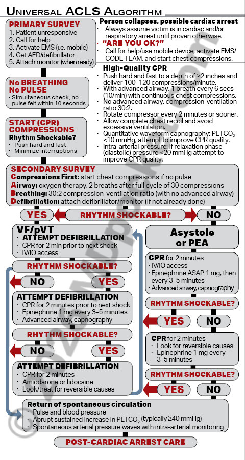 ACLS