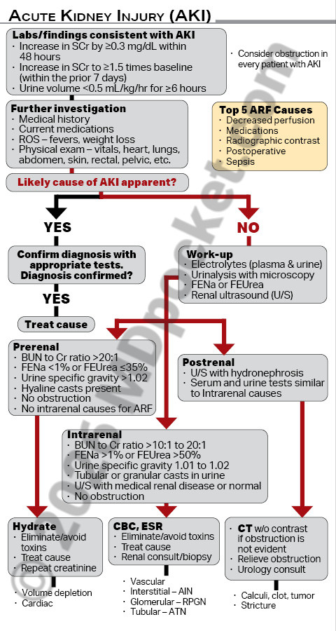 Acute_Kidney_Injury