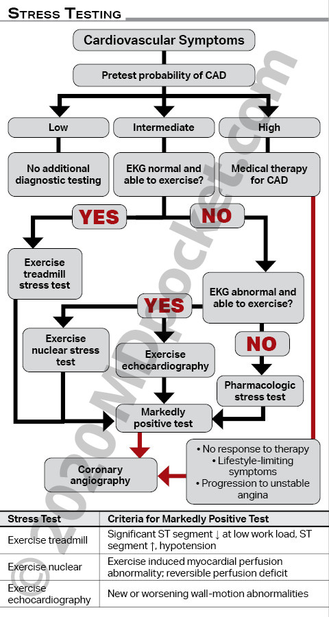 Cardiology_-_Full_STEMI_ACS