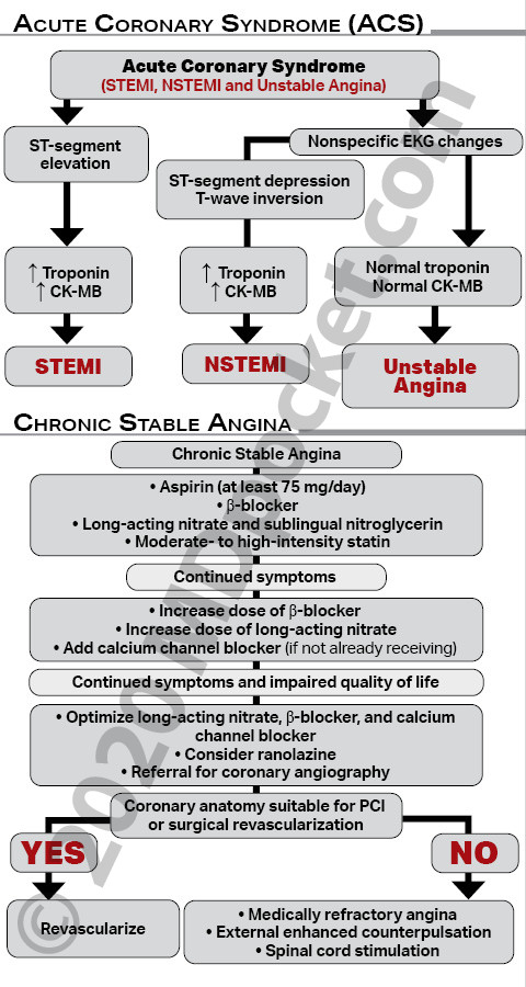 Cardiology_-_Full_STEMI_ACS