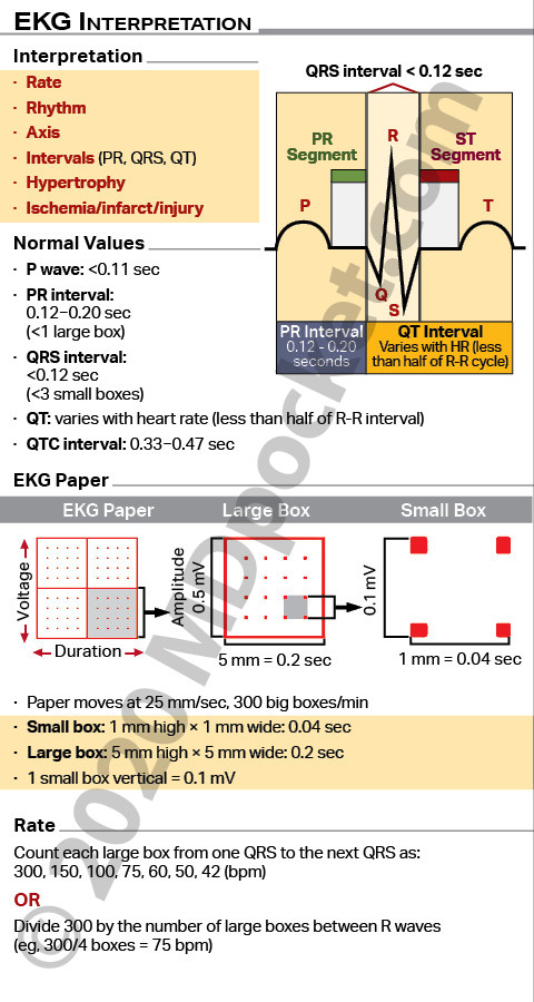 EKG_SNF