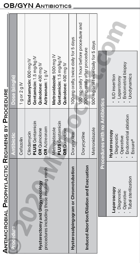 Gyno_Antibiotics