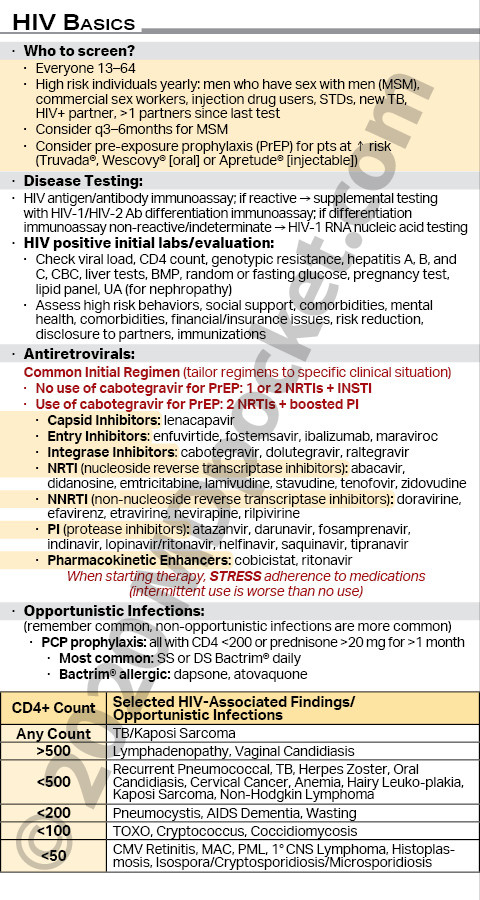 HIV_Basics