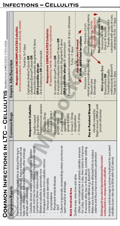 Infections_in_LTC
