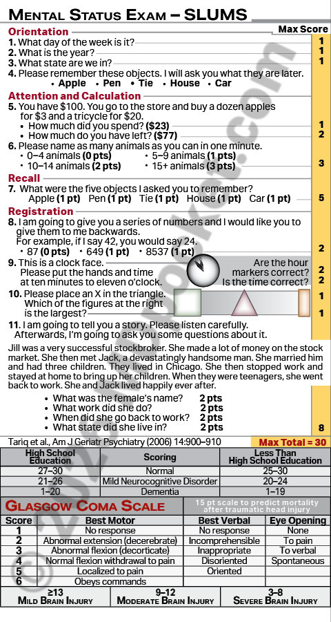 Mental_Status_Exam_1_page