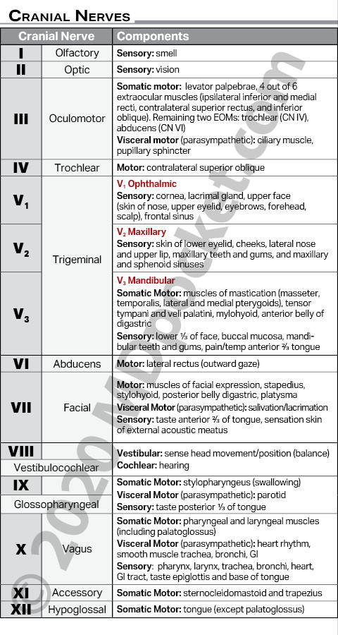 Nerves_-_Cranial_Components_Lesions