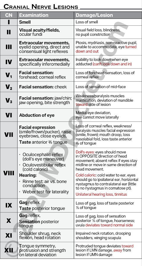 Nerves_-_Cranial_Components_Lesions