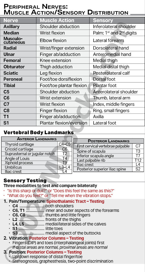 Nerves_-_DTR_Strength