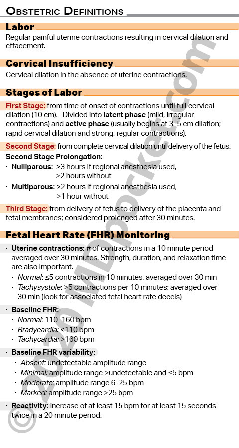 OB_Definitions_Fetal_HR_Menstrual_Cycle