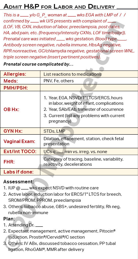 OB_Orders_and_Notes