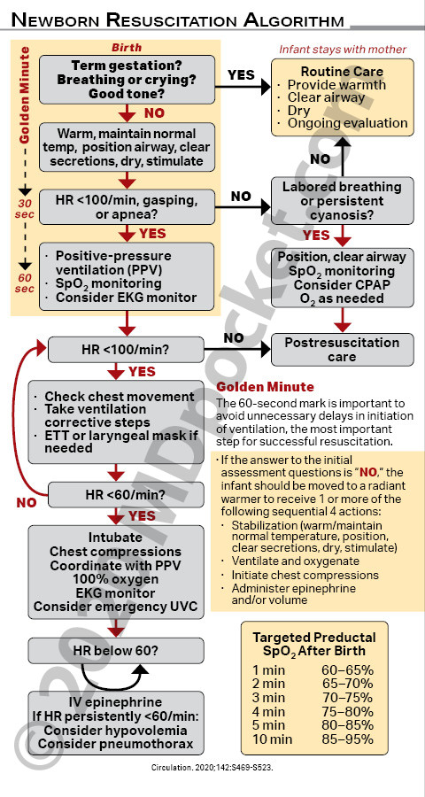 Pediatrics_-_Newborn_Resuscitation_Algorithm