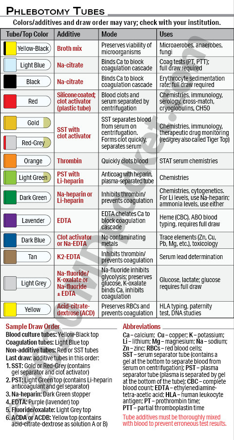 Phlebotomy_Short