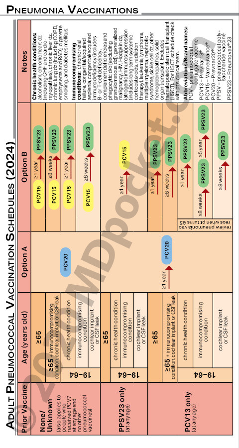 Pneumonia_Vaccination_Guide
