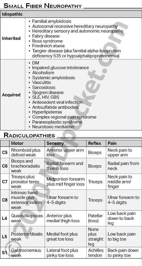 Small_Fiber_Neuropathy