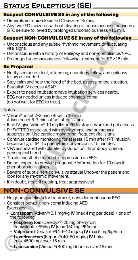 Status_Epilepticus