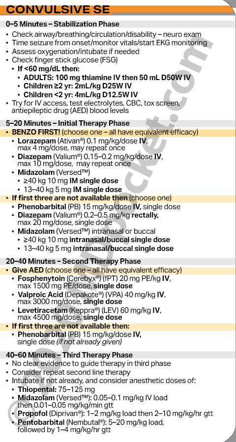 Status_Epilepticus