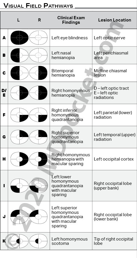 Visual_Field_Pathways